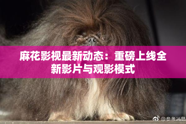 麻花影视最新动态：重磅上线全新影片与观影模式