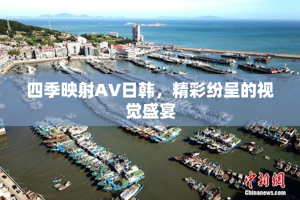 四季映射AV日韩，精彩纷呈的视觉盛宴