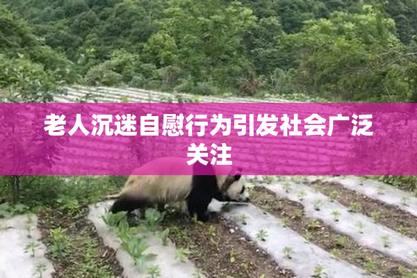 老人沉迷自慰行为引发社会广泛关注