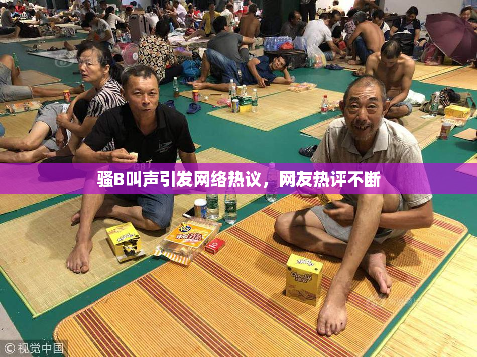 骚B叫声引发网络热议，网友热评不断