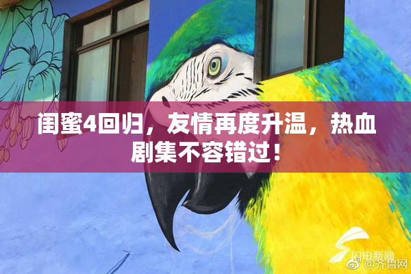 闺蜜4回归，友情再度升温，热血剧集不容错过！