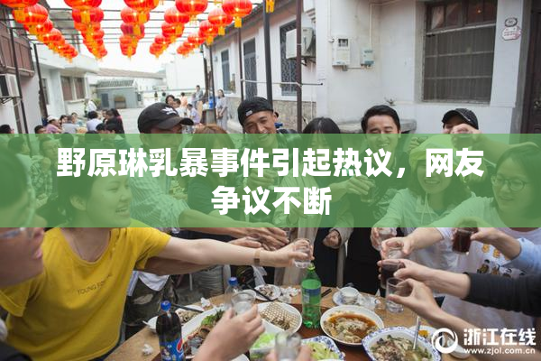 野原琳乳暴事件引起热议，网友争议不断