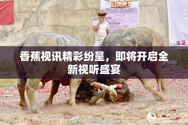 香蕉视讯精彩纷呈，即将开启全新视听盛宴