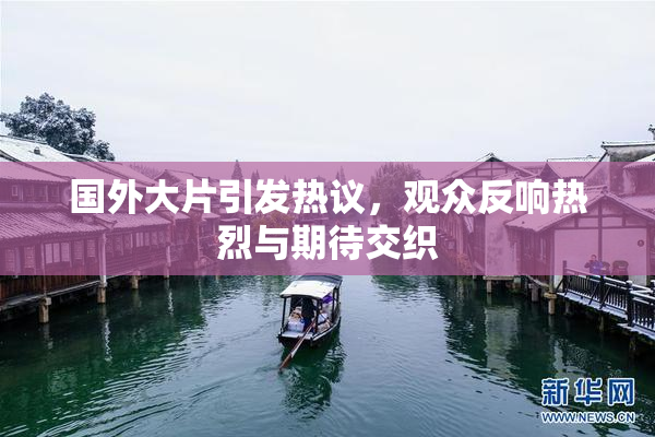 国外大片引发热议，观众反响热烈与期待交织