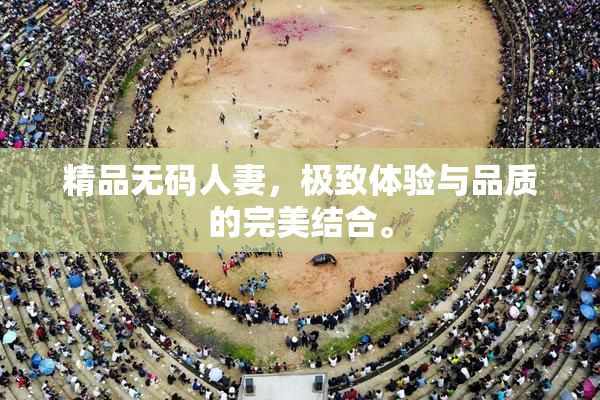 精品无码人妻，极致体验与品质的完美结合。