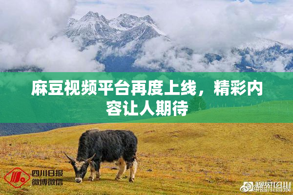 麻豆视频平台再度上线，精彩内容让人期待