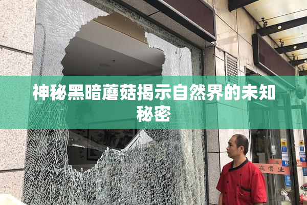 神秘黑暗蘑菇揭示自然界的未知秘密