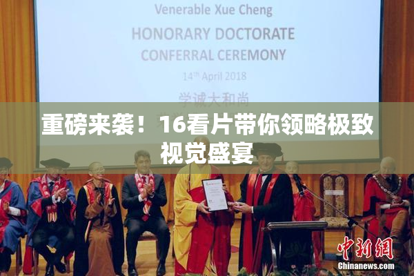 重磅来袭！16看片带你领略极致视觉盛宴
