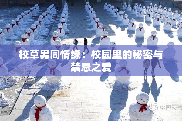 校草男同情缘：校园里的秘密与禁忌之爱