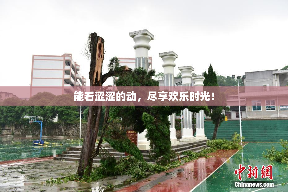 能看涩涩的动，尽享欢乐时光！
