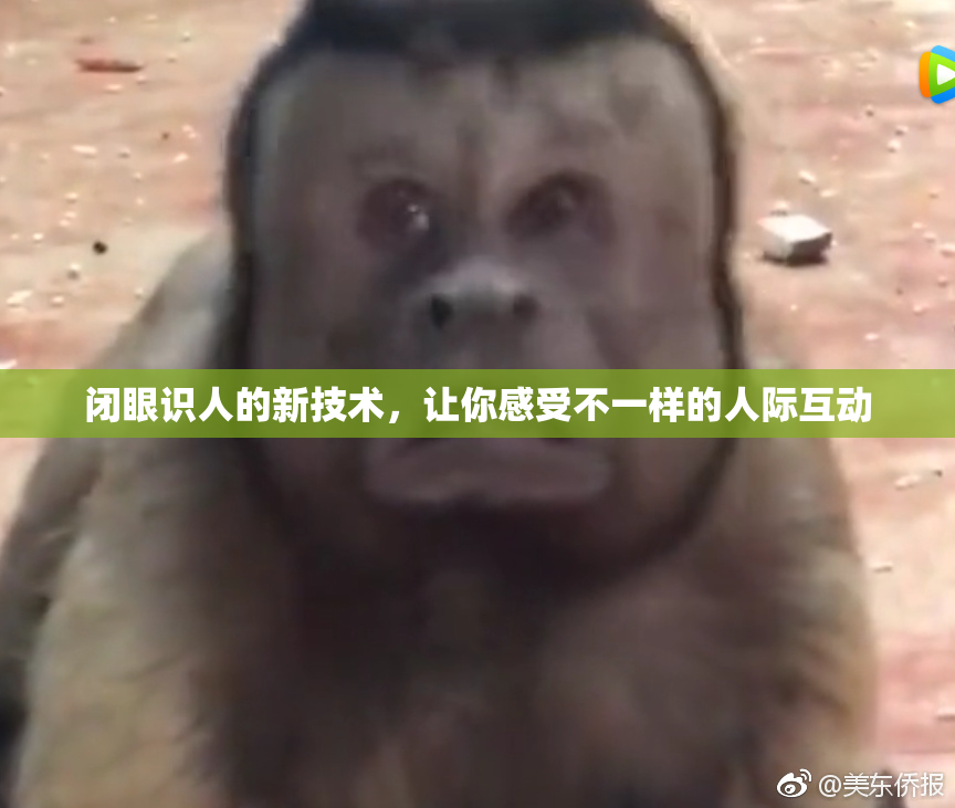 闭眼识人的新技术，让你感受不一样的人际互动