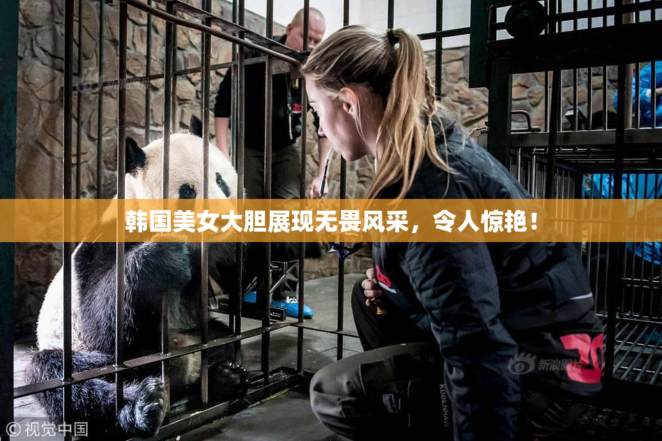 韩国美女大胆展现无畏风采，令人惊艳！