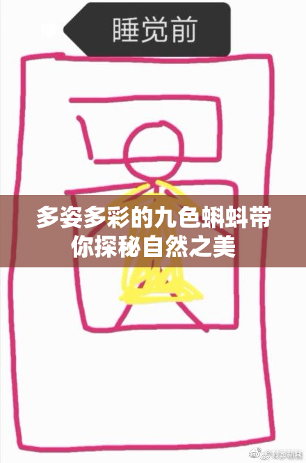 多姿多彩的九色蝌蚪带你探秘自然之美