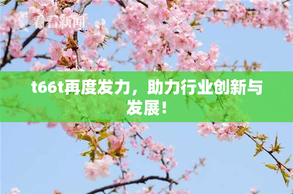t66t再度发力，助力行业创新与发展！