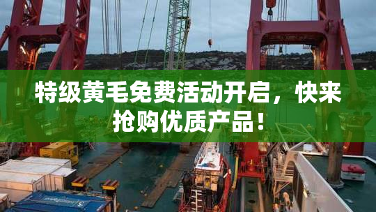 特级黄毛免费活动开启，快来抢购优质产品！