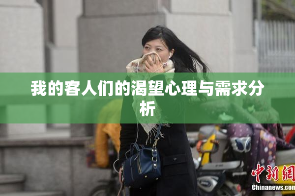 我的客人们的渴望心理与需求分析