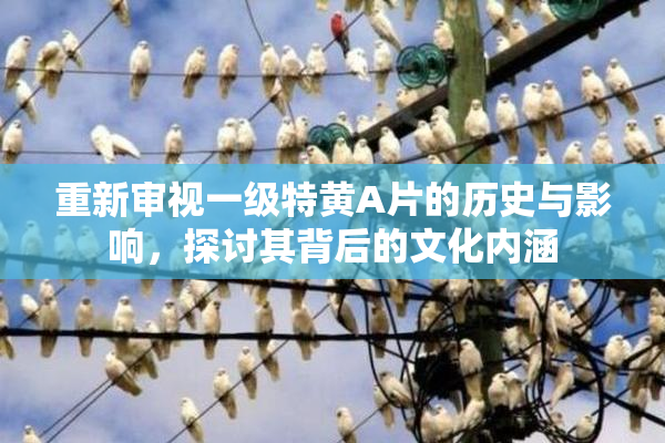 重新审视一级特黄A片的历史与影响，探讨其背后的文化内涵