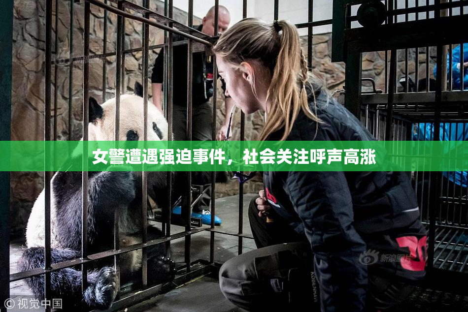 女警遭遇强迫事件，社会关注呼声高涨