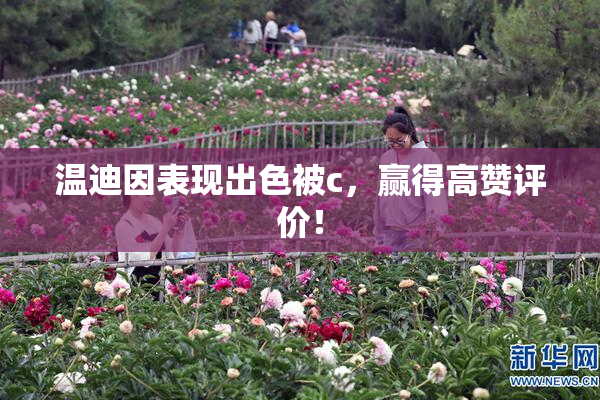 温迪因表现出色被c，赢得高赞评价！
