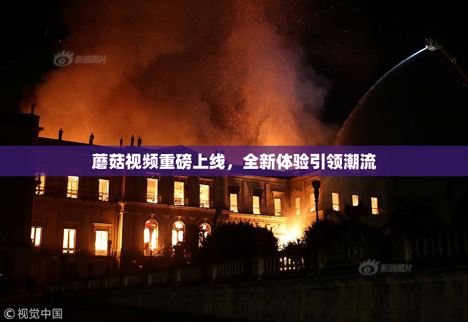 蘑菇视频重磅上线，全新体验引领潮流