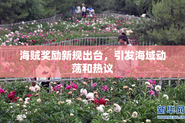 海贼奖励新规出台，引发海域动荡和热议