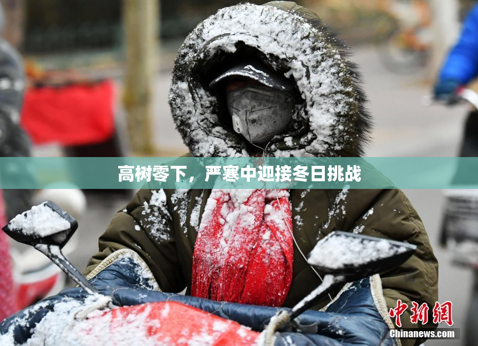 高树零下，严寒中迎接冬日挑战