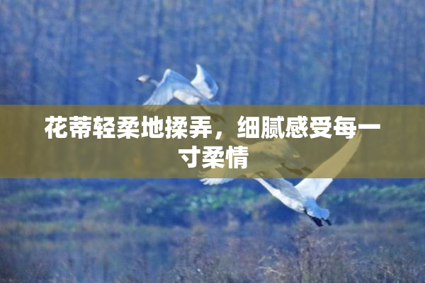 花蒂轻柔地揉弄，细腻感受每一寸柔情
