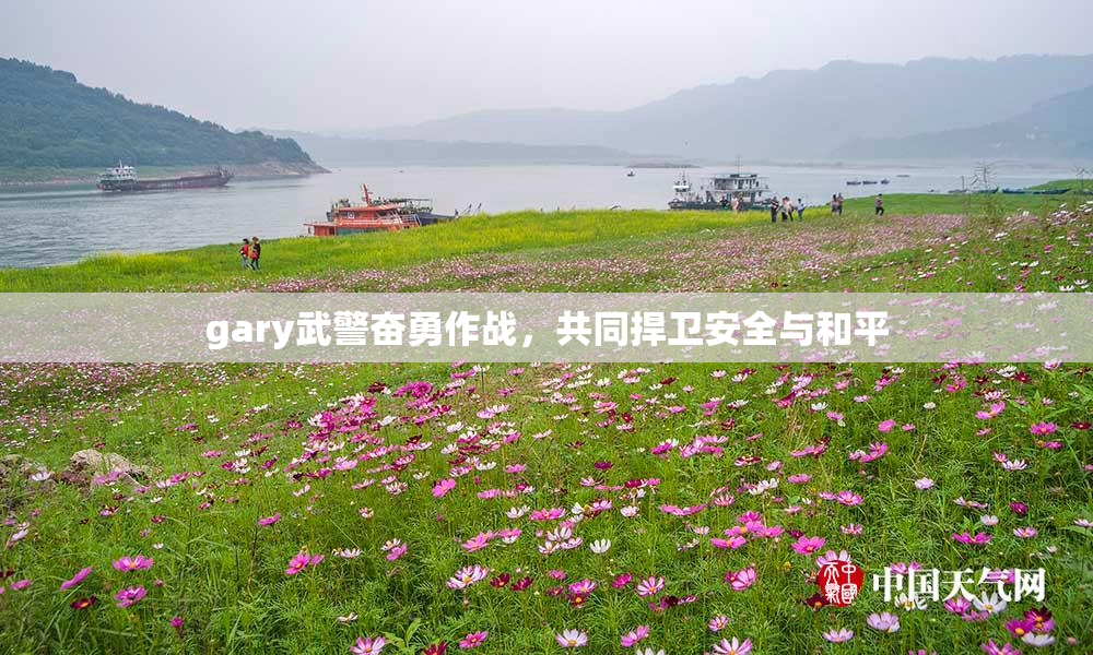 gary武警奋勇作战，共同捍卫安全与和平