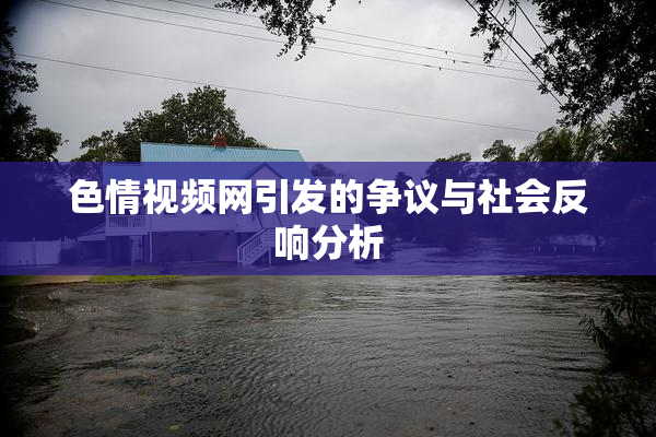 色情视频网引发的争议与社会反响分析