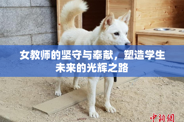 女教师的坚守与奉献，塑造学生未来的光辉之路