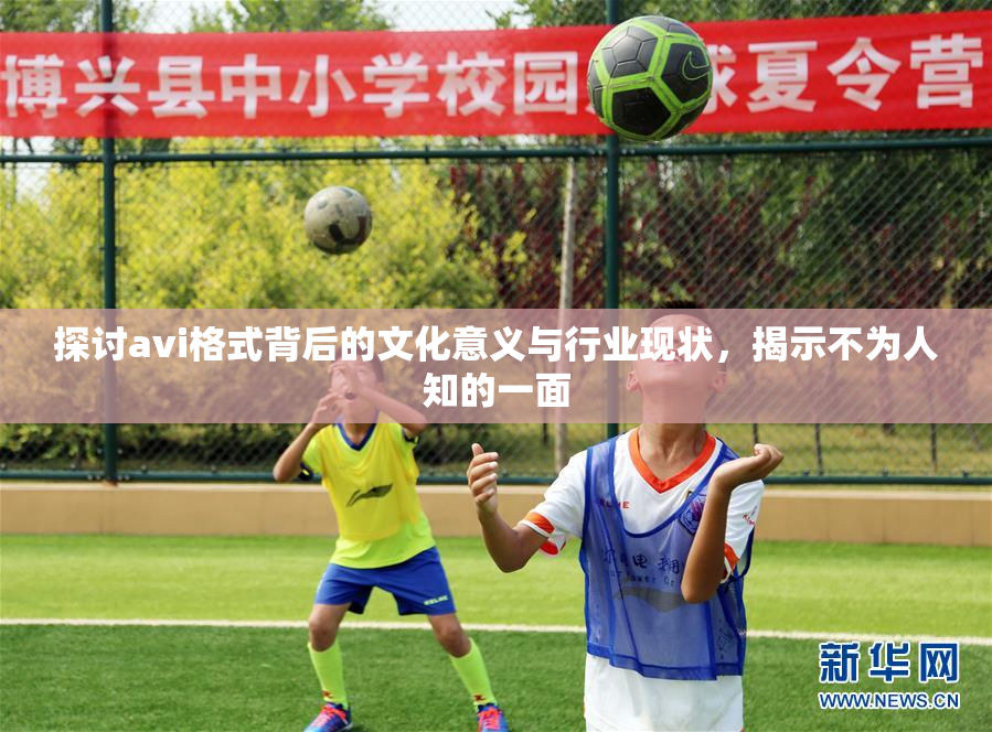 探讨avi格式背后的文化意义与行业现状，揭示不为人知的一面