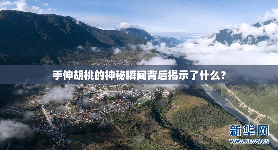 手伸胡桃的神秘瞬间背后揭示了什么？