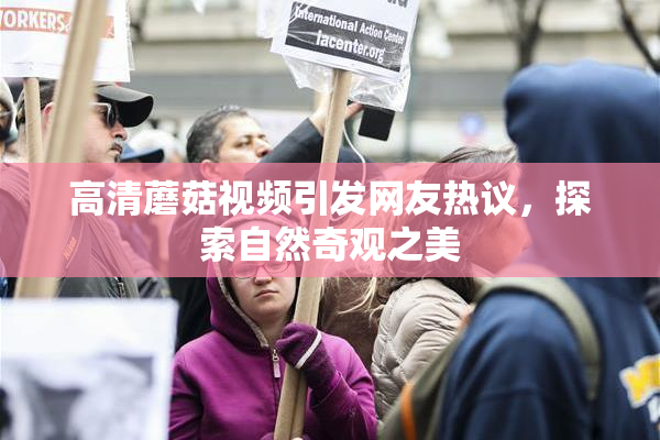 高清蘑菇视频引发网友热议，探索自然奇观之美