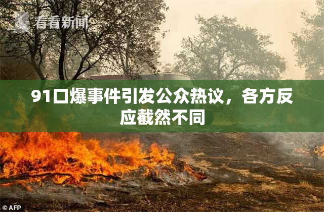 91口爆事件引发公众热议，各方反应截然不同