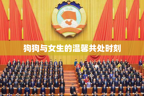 狗狗与女生的温馨共处时刻