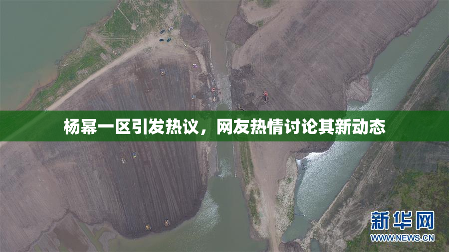 杨幂一区引发热议，网友热情讨论其新动态