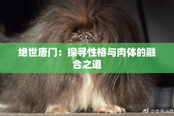 绝世唐门：探寻性格与肉体的融合之道