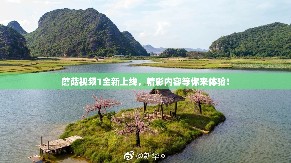蘑菇视频1全新上线，精彩内容等你来体验！