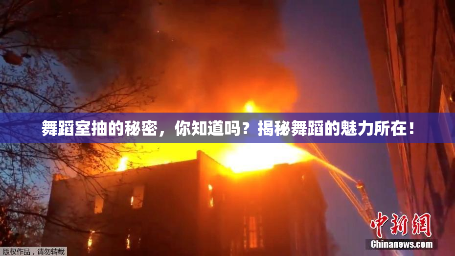舞蹈室抽的秘密，你知道吗？揭秘舞蹈的魅力所在！