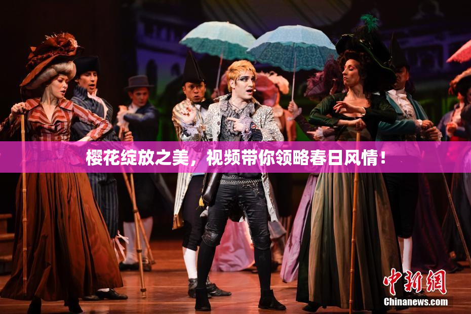 樱花绽放之美，视频带你领略春日风情！