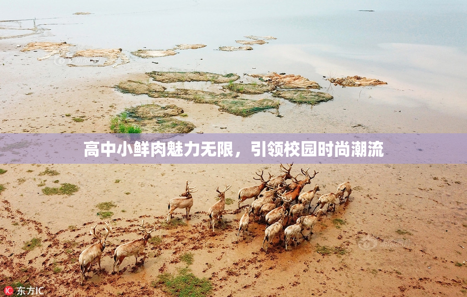 高中小鲜肉魅力无限，引领校园时尚潮流