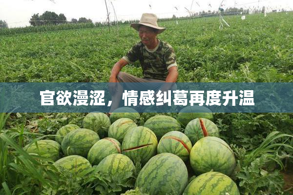 官欲漫涩，情感纠葛再度升温