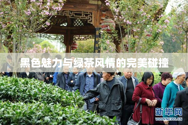黑色魅力与绿茶风情的完美碰撞
