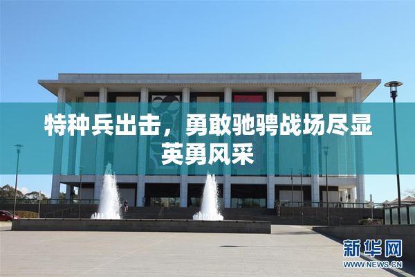 特种兵出击，勇敢驰骋战场尽显英勇风采