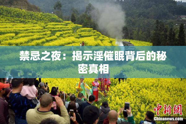 禁忌之夜：揭示淫催眠背后的秘密真相