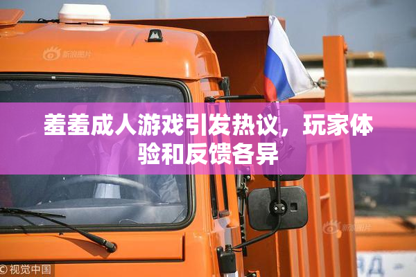 羞羞成人游戏引发热议，玩家体验和反馈各异