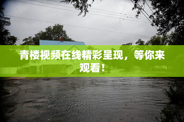 青楼视频在线精彩呈现，等你来观看！