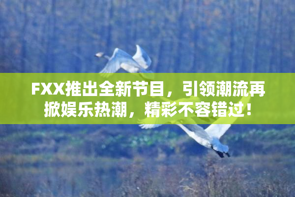 FXX推出全新节目，引领潮流再掀娱乐热潮，精彩不容错过！
