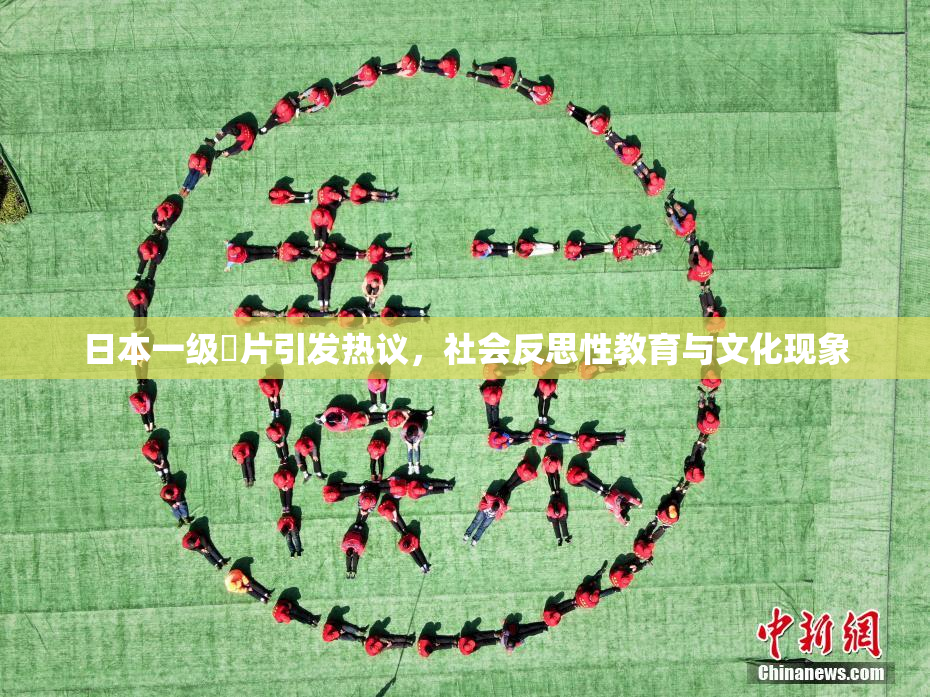 日本一级婬片引发热议，社会反思性教育与文化现象