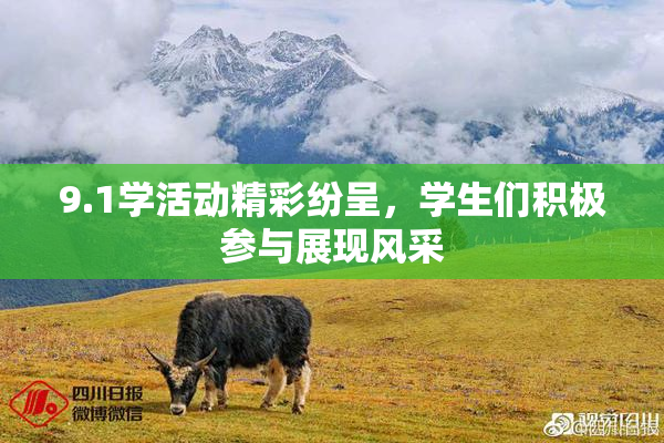 9.1学活动精彩纷呈，学生们积极参与展现风采